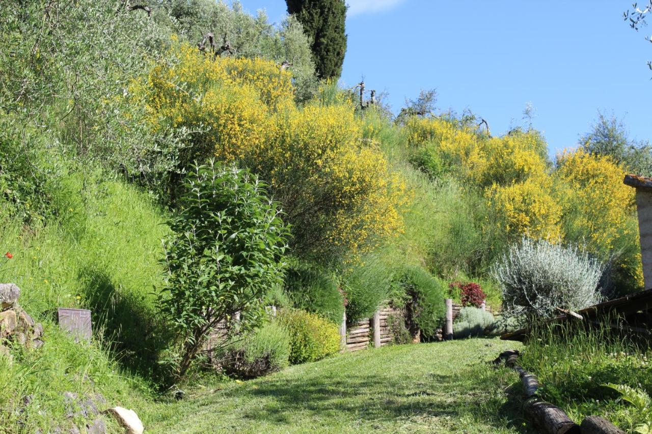 Villa Porsenna Chiusi Exterior photo
